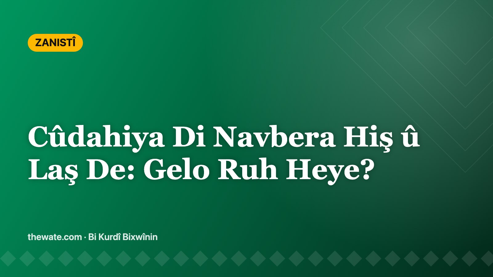 Cûdahiya Di Navbera Hiş û Laş De: Gelo Ruh Heye?