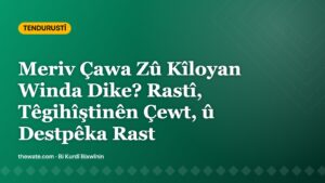 Meriv Çawa Zû Kîloyan Winda Dike? Rastî, Têgihîştinên Çewt, û Destpêka Rast